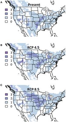 Evaluating the Utility of Species Distribution Models in Informing Climate Change-Resilient Grassland Restoration Strategy